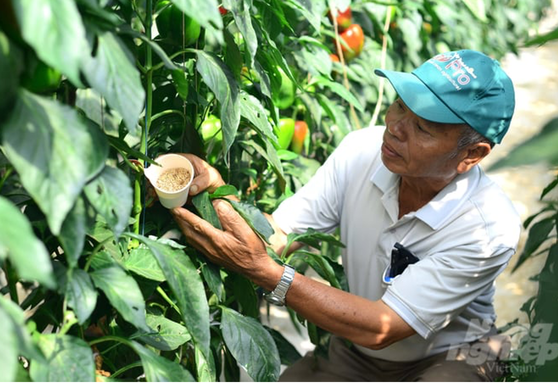 FAO Supports Vietnam in developing biological plant protection solutions